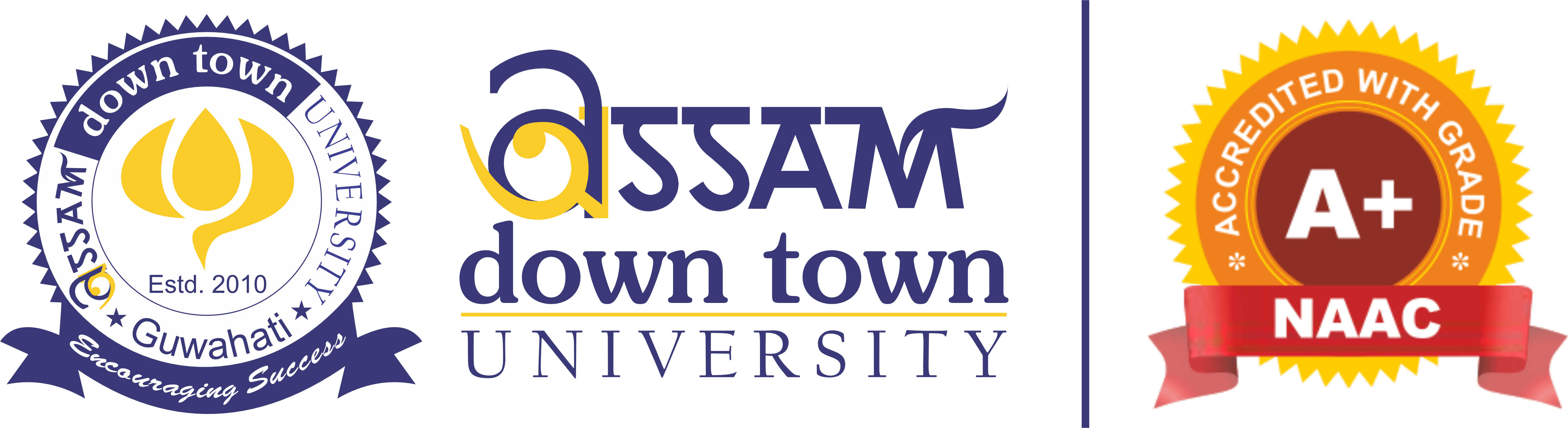 Assam down town University